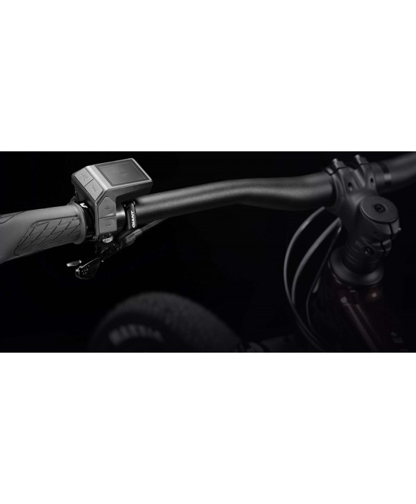 MANDO DISPLAY GIANT RIDECONTROL DASH
